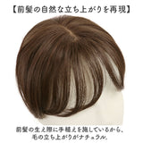 プリシラ 白髪隠しウィッグ prisila ST-009 通販 ヘアピース プレミアム白髪かくしウィッグ ナチュラルショート ポイントウィッグ 部分ウィッグ ポイントウイッグ ウィッグ ウイッグ