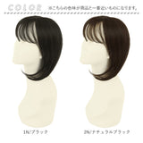 プリシラ 白髪隠しウィッグ prisila ST-010 通販 ヘアピース プレミアム白髪かくしウィッグ ふんわりロング ポイントウィッグ 部分ウィッグ ポイントウイッグ ウィッグ ウイッグ かつら