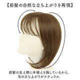 プリシラ 白髪隠しウィッグ prisila ST-010 通販 ヘアピース プレミアム白髪かくしウィッグ ふんわりロング ポイントウィッグ 部分ウィッグ ポイントウイッグ ウィッグ ウイッグ かつら