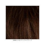 プリシラ 部分 ウィッグ prisila ST-100 通販 かつら 女性 レディース 部分ウィッグ ポイントウイッグ ヘアピース ポイントウィッグ ウイッグ 頭頂部 つむじ 白髪隠し 白髪かくし カツラ