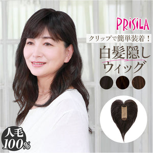 プリシラ 部分 ウィッグ prisila ST-100 通販 かつら 女性 レディース 部分ウィッグ ポイントウイッグ ヘアピース ポイントウィッグ ウイッグ 頭頂部 つむじ 白髪隠し 白髪かくし カツラ
