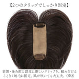 プリシラ 部分 ウィッグ prisila ST-100 通販 かつら 女性 レディース 部分ウィッグ ポイントウイッグ ヘアピース ポイントウィッグ ウイッグ 頭頂部 つむじ 白髪隠し 白髪かくし カツラ