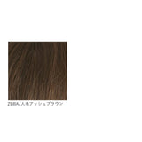 プリシラ 部分 ウィッグ prisila ST-101 通販 かつら 女性 レディース 部分ウィッグ ポイントウイッグ ヘアピース ポイントウィッグ ウイッグ 頭頂部 つむじ 白髪隠し 白髪かくし カツラ