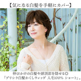 プリシラ 部分 ウィッグ prisila ST-101 通販 かつら 女性 レディース 部分ウィッグ ポイントウイッグ ヘアピース ポイントウィッグ ウイッグ 頭頂部 つむじ 白髪隠し 白髪かくし カツラ