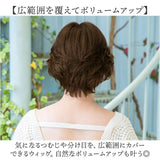 プリシラ 部分 ウィッグ prisila ST-101 通販 かつら 女性 レディース 部分ウィッグ ポイントウイッグ ヘアピース ポイントウィッグ ウイッグ 頭頂部 つむじ 白髪隠し 白髪かくし カツラ