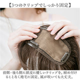 プリシラ 部分 ウィッグ prisila ST-101 通販 かつら 女性 レディース 部分ウィッグ ポイントウイッグ ヘアピース ポイントウィッグ ウイッグ 頭頂部 つむじ 白髪隠し 白髪かくし カツラ