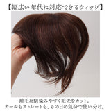 プリシラ 部分 ウィッグ prisila ST-102 通販 かつら 女性 レディース 部分ウィッグ ポイントウイッグ ヘアピース ポイントウィッグ ウイッグ 頭頂部 つむじ 白髪隠し 白髪かくし カツラ