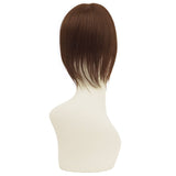 プリシラ 部分 ウィッグ prisila ST-102 通販 かつら 女性 レディース 部分ウィッグ ポイントウイッグ ヘアピース ポイントウィッグ ウイッグ 頭頂部 つむじ 白髪隠し 白髪かくし カツラ
