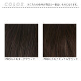 プリシラ 部分 ウィッグ prisila ST-102 通販 かつら 女性 レディース 部分ウィッグ ポイントウイッグ ヘアピース ポイントウィッグ ウイッグ 頭頂部 つむじ 白髪隠し 白髪かくし カツラ