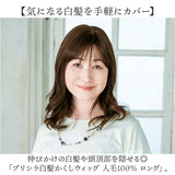 プリシラ 部分 ウィッグ prisila ST-102 通販 かつら 女性 レディース 部分ウィッグ ポイントウイッグ ヘアピース ポイントウィッグ ウイッグ 頭頂部 つむじ 白髪隠し 白髪かくし カツラ