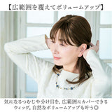 プリシラ 部分 ウィッグ prisila ST-102 通販 かつら 女性 レディース 部分ウィッグ ポイントウイッグ ヘアピース ポイントウィッグ ウイッグ 頭頂部 つむじ 白髪隠し 白髪かくし カツラ