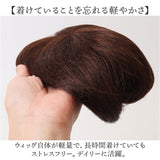 プリシラ 部分 ウィッグ prisila ST-102 通販 かつら 女性 レディース 部分ウィッグ ポイントウイッグ ヘアピース ポイントウィッグ ウイッグ 頭頂部 つむじ 白髪隠し 白髪かくし カツラ