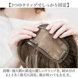 プリシラ 部分 ウィッグ prisila ST-102 通販 かつら 女性 レディース 部分ウィッグ ポイントウイッグ ヘアピース ポイントウィッグ ウイッグ 頭頂部 つむじ 白髪隠し 白髪かくし カツラ