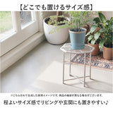 プランツスタンド アイアン 通販 オクト おしゃれ 植木鉢スタンド 鉢植え 植木鉢 ガーデニング 観葉植物 鉢台 植物台 プランツ メッシュ台 ホームプランツ POSH LIVING 屋内 屋外