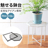 プランツスタンド アイアン 通販 オクト おしゃれ 植木鉢スタンド 鉢植え 植木鉢 ガーデニング 観葉植物 鉢台 植物台 プランツ メッシュ台 ホームプランツ POSH LIVING 屋内 屋外
