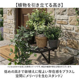 プランツスタンド オクト 通販 おしゃれ アイアン 植木鉢スタンド 花台 植物台 ガーデニング 観葉植物 プランツ ホームプランツ 鉢植え 植木鉢 屋内 屋外 シンプル スタンド ナチュラル