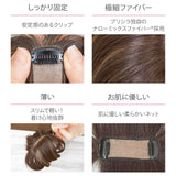 prisila プリシラ ウィッグ ST-012 ST-012L 通販 ウイッグ 部分ウィッグ 白髪隠し 白髪隠しウィッグ かつら つけ毛 ポイントウィッグ ポイントウイッグ 白髪カバー PRISILA カツラ 白髪