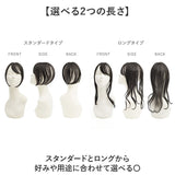 prisila プリシラ ウィッグ ST-012 ST-012L 通販 ウイッグ 部分ウィッグ 白髪隠し 白髪隠しウィッグ かつら つけ毛 ポイントウィッグ ポイントウイッグ 白髪カバー PRISILA カツラ 白髪