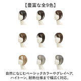 prisila プリシラ ウィッグ ST-012 ST-012L 通販 ウイッグ 部分ウィッグ 白髪隠し 白髪隠しウィッグ かつら つけ毛 ポイントウィッグ ポイントウイッグ 白髪カバー PRISILA カツラ 白髪