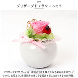 プリザーブドフラワー ミニサイズ 通販 プティラウンドポット アーティフィシャルフラワー アレンジ アレンジメントフラワー 造花 フラワーアレンジメント 花 ギフト 陶器 ポット