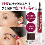 白髪隠し 通販 日本製 カラースティック 白髪かくし ヘアカラー ヘアファンデーション 白髪 白髪ケア 白髪染め ペンタイプ 生え際 筆タイプ 眉毛 まゆげ 塗るだけ 普段使い 女性用