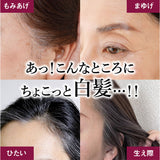 白髪隠し 通販 日本製 カラースティック 白髪かくし ヘアカラー ヘアファンデーション 白髪 白髪ケア 白髪染め ペンタイプ 生え際 筆タイプ 眉毛 まゆげ 塗るだけ 普段使い 女性用