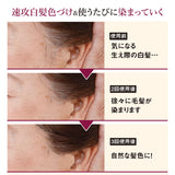 白髪隠し 通販 日本製 カラースティック 白髪かくし ヘアカラー ヘアファンデーション 白髪 白髪ケア 白髪染め ペンタイプ 生え際 筆タイプ 眉毛 まゆげ 塗るだけ 普段使い 女性用