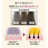 白髪隠し 通販 日本製 カラースティック 白髪かくし ヘアカラー ヘアファンデーション 白髪 白髪ケア 白髪染め ペンタイプ 生え際 筆タイプ 眉毛 まゆげ 塗るだけ 普段使い 女性用