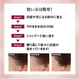 白髪隠し 通販 日本製 カラースティック 白髪かくし ヘアカラー ヘアファンデーション 白髪 白髪ケア 白髪染め ペンタイプ 生え際 筆タイプ 眉毛 まゆげ 塗るだけ 普段使い 女性用
