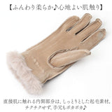 リボーンカンパニー レザー風 手袋 通販 てぶくろ 手ぶくろ レディース手袋 グローブ レディース 女性用 防寒 寒さ対策 レディースウェア ファッション小物 かわいい 可愛い おしゃれ