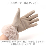 リボーンカンパニー レザー風 手袋 通販 てぶくろ 手ぶくろ レディース手袋 グローブ レディース 女性用 防寒 寒さ対策 レディースウェア ファッション小物 かわいい 可愛い おしゃれ