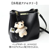 チャーム サングラス いぬ 通販 キーホルダー ぬいキーホルダー ぬいぐるみチャーム バッグチャーム イヌチャーム キーリング 動物 アニマル マスコット イヌ 犬 かわいい 可愛い