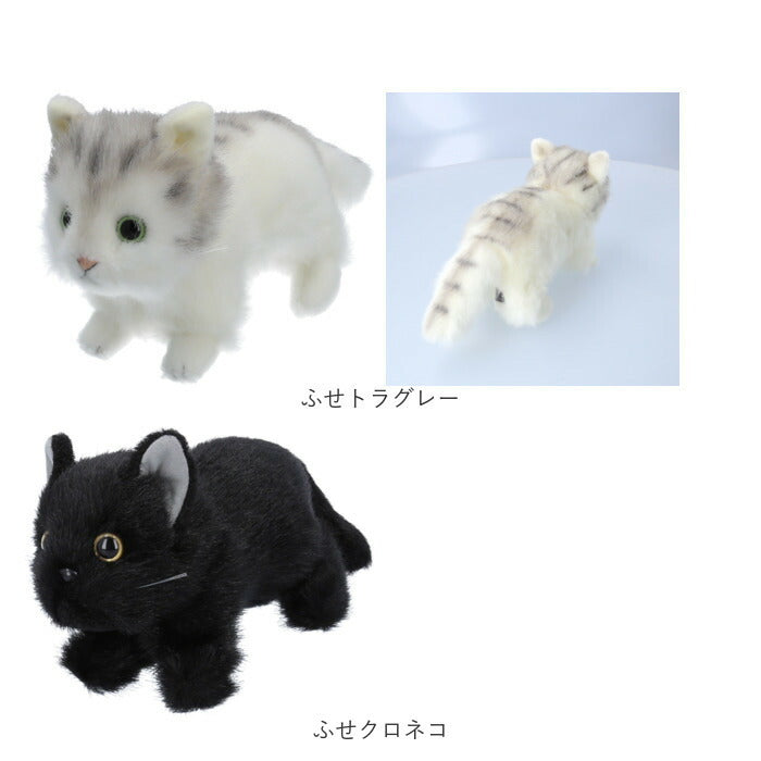 K- 猫のぬいぐるみ 約20cm（realcats_16_2048x.jpg?v=1718328830）