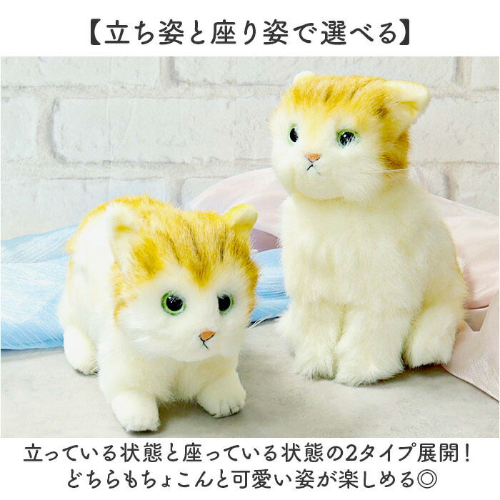 realcats_4_2048x.jpg?v=1718328830