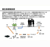 炭 消臭 1kg 大袋 通販 PFAS対策 顆粒炭 バイオ炭 肥料 抗菌 消臭剤 廃プラ炭 汚泥炭 廃プラエコ炭 濾過洗浄 すみ スミ たん チャコール 植物 家庭菜園 ガーデニング雑貨