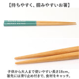 弁当箱 2段 570ml 箸セット 通販 日本製 ランチボックス 二段 お箸セット 二段弁当箱 2段弁当箱 レディース 大人 女子 メンズ 男子 小さめ シンプル レンジ対応弁当箱