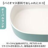 弁当箱 2段 570ml 箸セット 通販 日本製 ランチボックス 二段 お箸セット 二段弁当箱 2段弁当箱 レディース 大人 女子 メンズ 男子 小さめ シンプル レンジ対応弁当箱