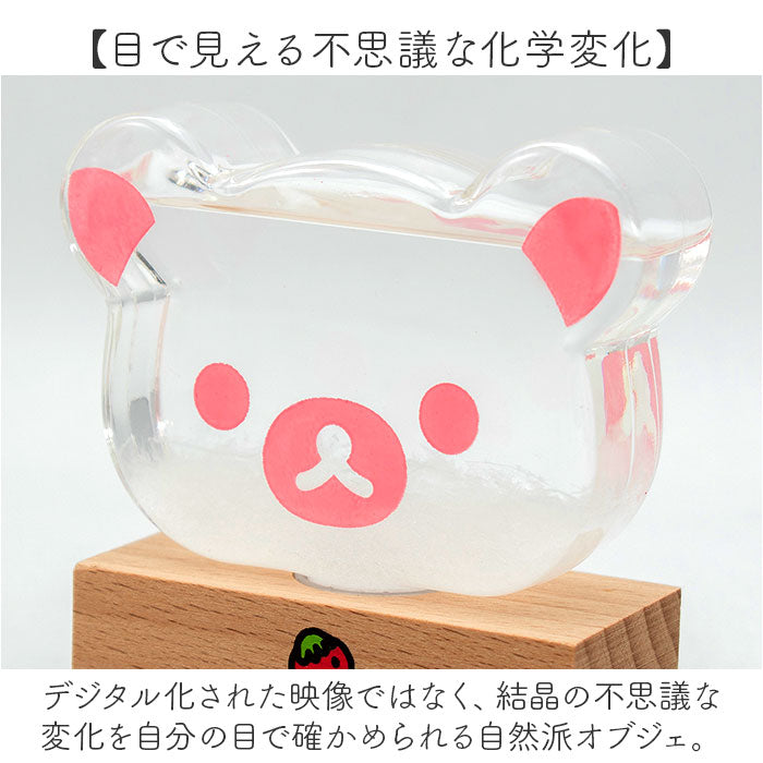 rirakumastorm_5_2048x.jpg?v=