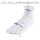 RｘL アールエル ソックス ランニング 通販 ショート ミドル丈 ランニングソックス スポーツソックス 足首 防寒 5本指 スポーツ 耐久性 高機能 武田レッグウエアー レッグウェア メンズ