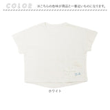 Tシャツ キッズ 女の子 半袖 通販 半袖Tシャツ カットソー キッズTシャツ 綿100% コットン100 子供 パターンメッシュ かわいい おしゃれ 可愛い ガールズ 子供服 子ども服 ベビー服 Aenak