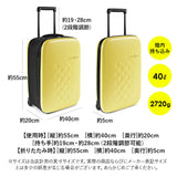 Rollink ローリンク スーツケース 40L 通販 フレックス キャリーケース キャリーバッグ 機内持ち込み キャリーバック 折りたたみ 折り畳み 旅行カバン 旅行鞄 旅行かばん メンズ