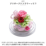 プリザーブドフラワー ガラスドーム 通販 ドームコレクション ラウンドドームMS アーティフィシャルフラワー アレンジメントフラワー 造花 フラワーアレンジメント 花 ギフト