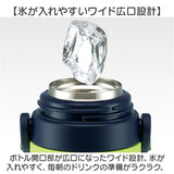 SKATER スケーター 水筒 キッズ 直飲み SDPV5 通販 日本製 ステンレスボトル ダイレクトボトル ステンレス 480ml ワンタッチ 立体プリント 3D ロック付き 保冷 保温 ベルト付き 女の子