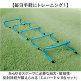 ミニハードル トレーニング 通販 トレーニングハードル 陸上 高さ15cm 5個セット 練習 運動器具 5台セット トレーニング用品 組み立て不要 持ち運び便利 壊れにくい 陸上競技 サッカー