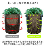植え袋 プランター 野菜栽培 5枚セット 通販 プランターボックス ポテトプランター トマトプランター サツマイモ栽培袋 ジャガイモ植え袋 PE10ガロン 繰り返し使える ガーデニング 植物