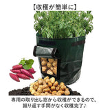 植え袋 プランター 野菜栽培 5枚セット 通販 プランターボックス ポテトプランター トマトプランター サツマイモ栽培袋 ジャガイモ植え袋 PE10ガロン 繰り返し使える ガーデニング 植物