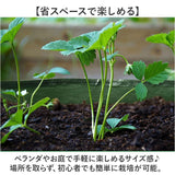 植え袋 ガーデンベッド 通販 野菜植物コンテナ 植栽コンテナ 植物ベッド 栽培バッグ 植物栽培バッグ 植物栽培バック 栽培バック 仕切り グリッド付き ガーデニング 植物 栽培 使い方簡単