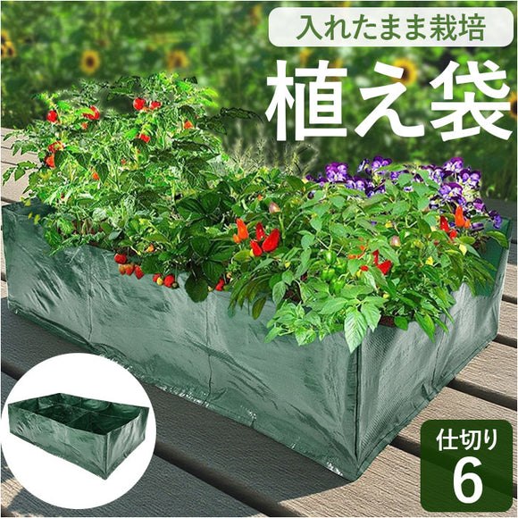 植え袋 ガーデンベッド 通販 野菜植物コンテナ 植栽コンテナ 植物ベッド 栽培バッグ 植物栽培バッグ 植物栽培バック 栽培バック 仕切り グリッド付き ガーデニング 植物 栽培 使い方簡単