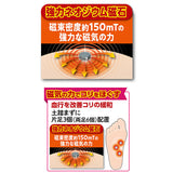 足裏サポーター 通販 日本製 磁気サポーター 土踏まずサポーター 足首サポーター フットサポーター 遠赤外線加工 フットケアグッズ あったか保温 足首温活カバー ネオジム磁石