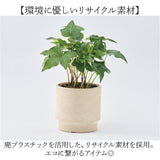 植木鉢 プラスチック 丸型 通販 SK ステップ 12xH12 鉢 約 3.5号 鉢カバー プランター プラポット プランターカバー 植木 ポット 鉢植え おしゃれ 軽量 軽い 観葉植物